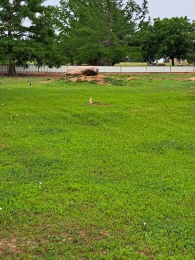 Kiwanis Park - Wichita Falls, TX