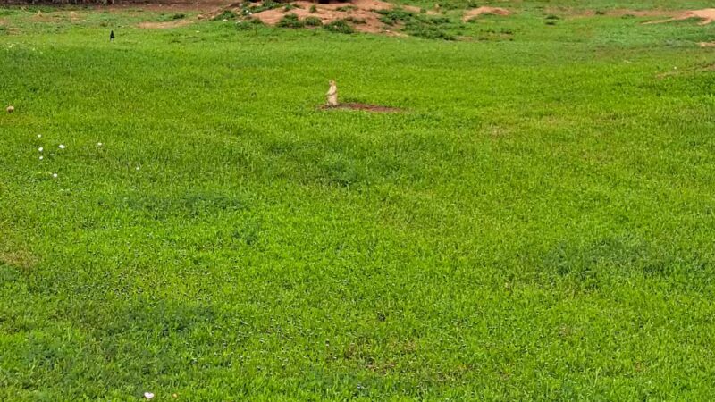 Kiwanis Park - Wichita Falls, TX
