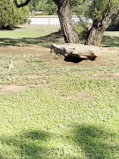 Kiwanis Park - Wichita Falls, TX