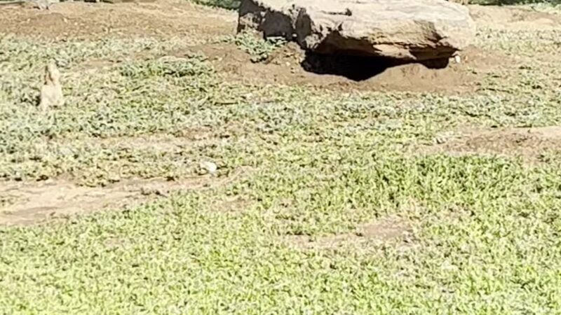Kiwanis Park - Wichita Falls, TX