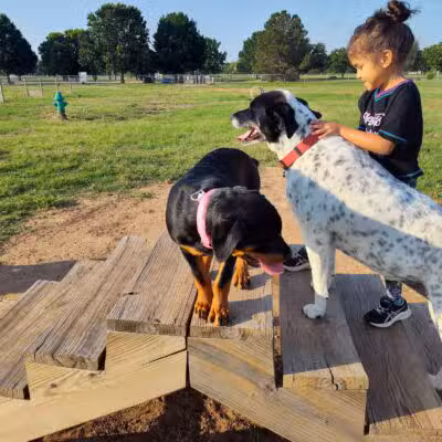 Wichita Falls Dog Park - Wichita Falls, TX