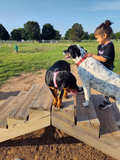 Wichita Falls Dog Park - Wichita Falls, TX