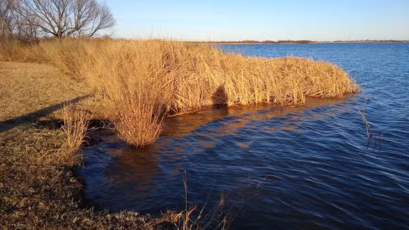 Wichita Falls Dog Park - Wichita Falls, TX