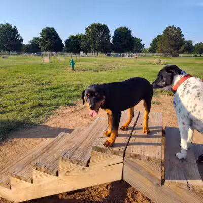 Wichita Falls Dog Park - Wichita Falls, TX