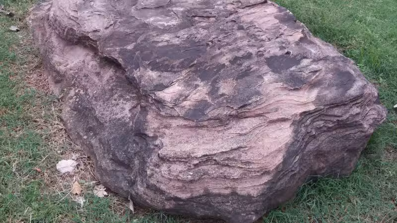 Wichita Falls Dog Park - Wichita Falls, TX