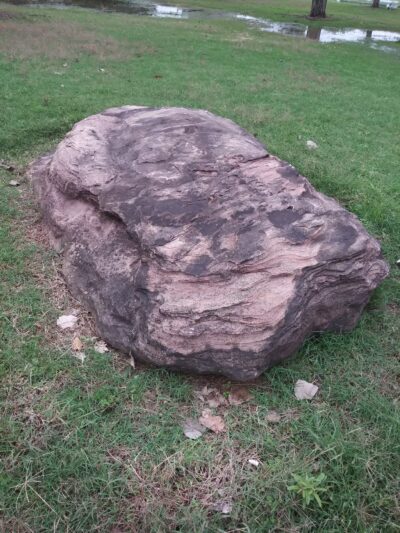 Wichita Falls Dog Park - Wichita Falls, TX