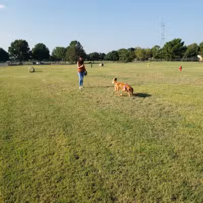 Wichita Falls Dog Park - Wichita Falls, TX
