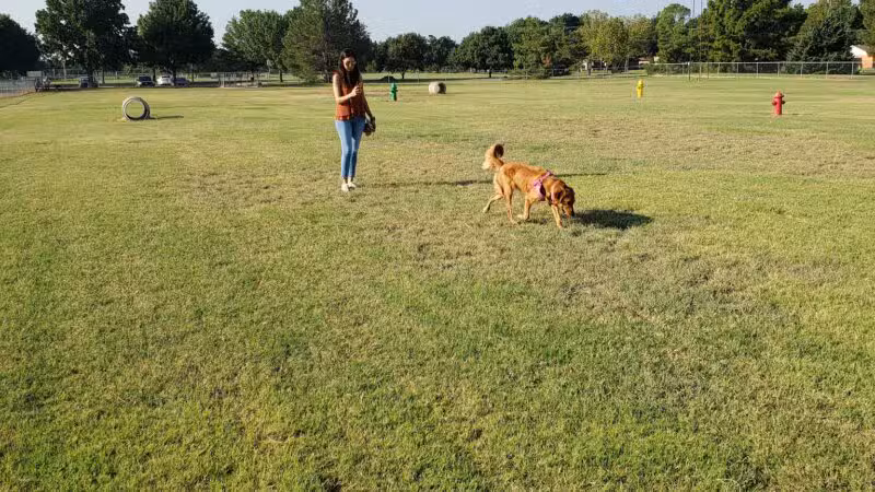 Wichita Falls Dog Park - Wichita Falls, TX