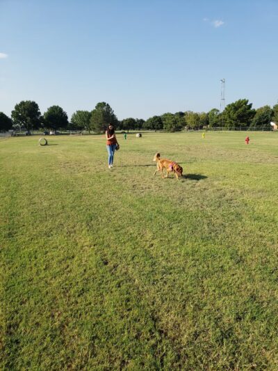 Wichita Falls Dog Park - Wichita Falls, TX