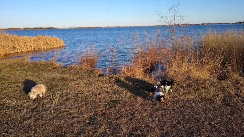 Wichita Falls Dog Park - Wichita Falls, TX