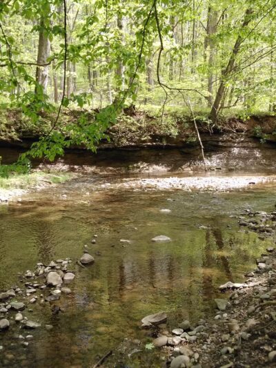 Rock Creek Nature Preserve - Williamsport, IN