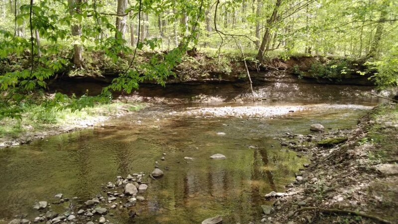 Rock Creek Nature Preserve - Williamsport, IN