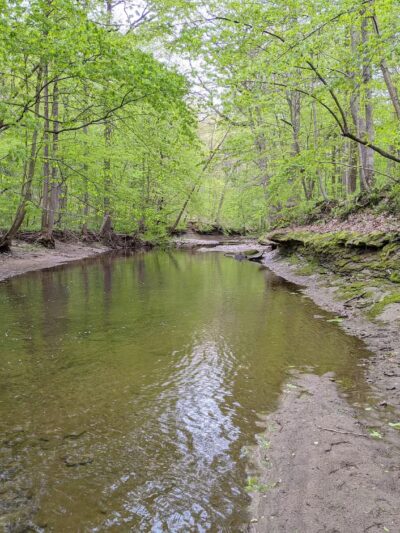 Rock Creek Nature Preserve - Williamsport, IN
