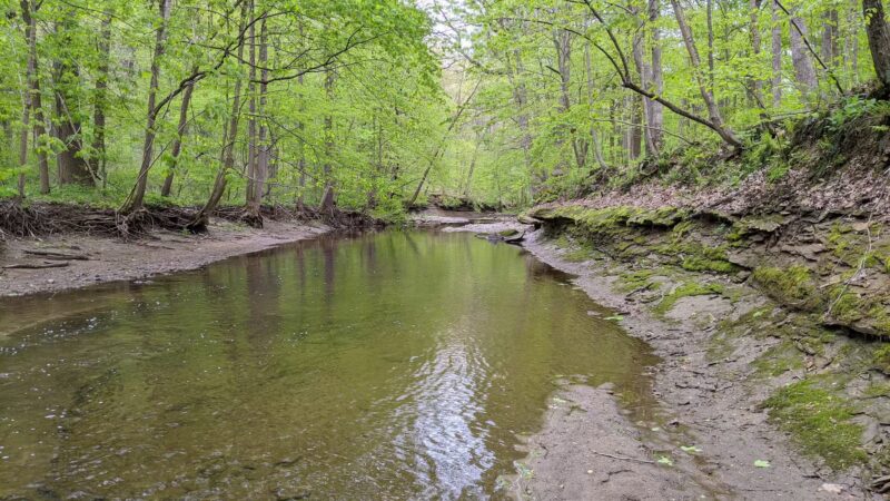 Rock Creek Nature Preserve - Williamsport, IN
