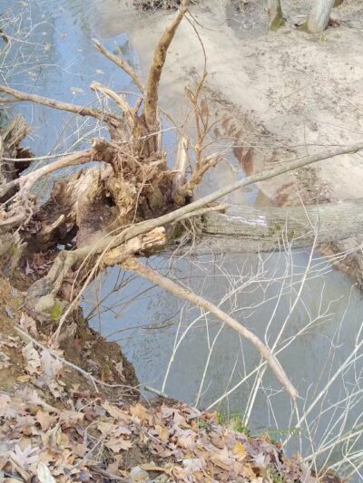 Rock Creek Nature Preserve - Williamsport, IN