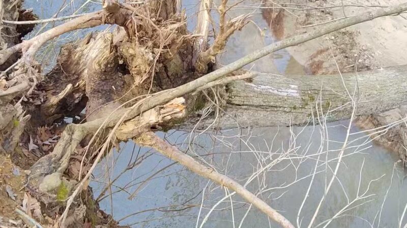 Rock Creek Nature Preserve - Williamsport, IN