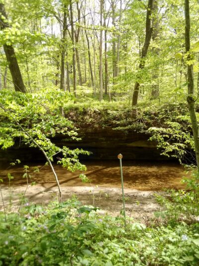 Rock Creek Nature Preserve - Williamsport, IN