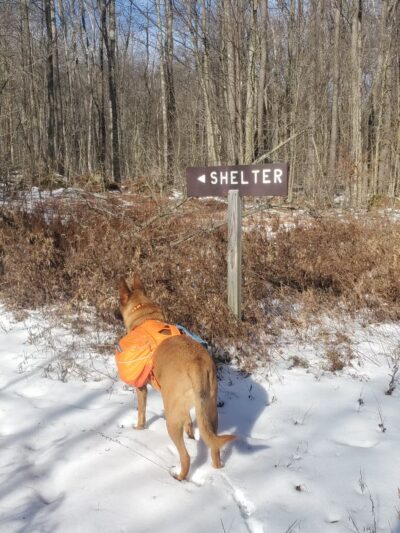 Lost Turkey Trail Parking Area - Windber, PA