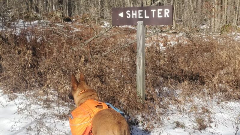 Lost Turkey Trail Parking Area - Windber, PA