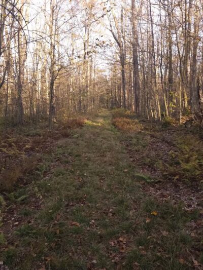 Lost Turkey Trail Parking Area - Windber, PA