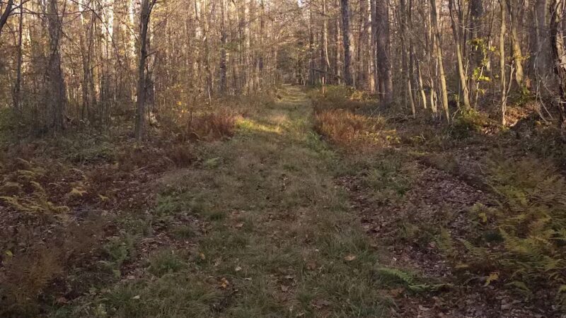 Lost Turkey Trail Parking Area - Windber, PA