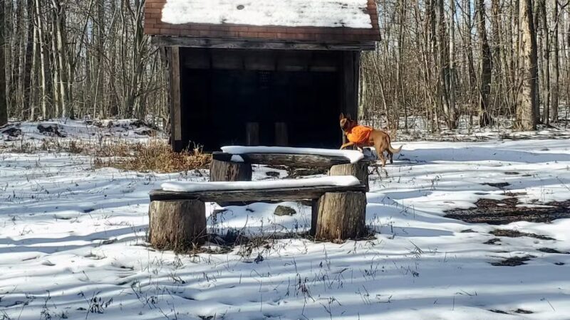 Lost Turkey Trail Parking Area - Windber, PA
