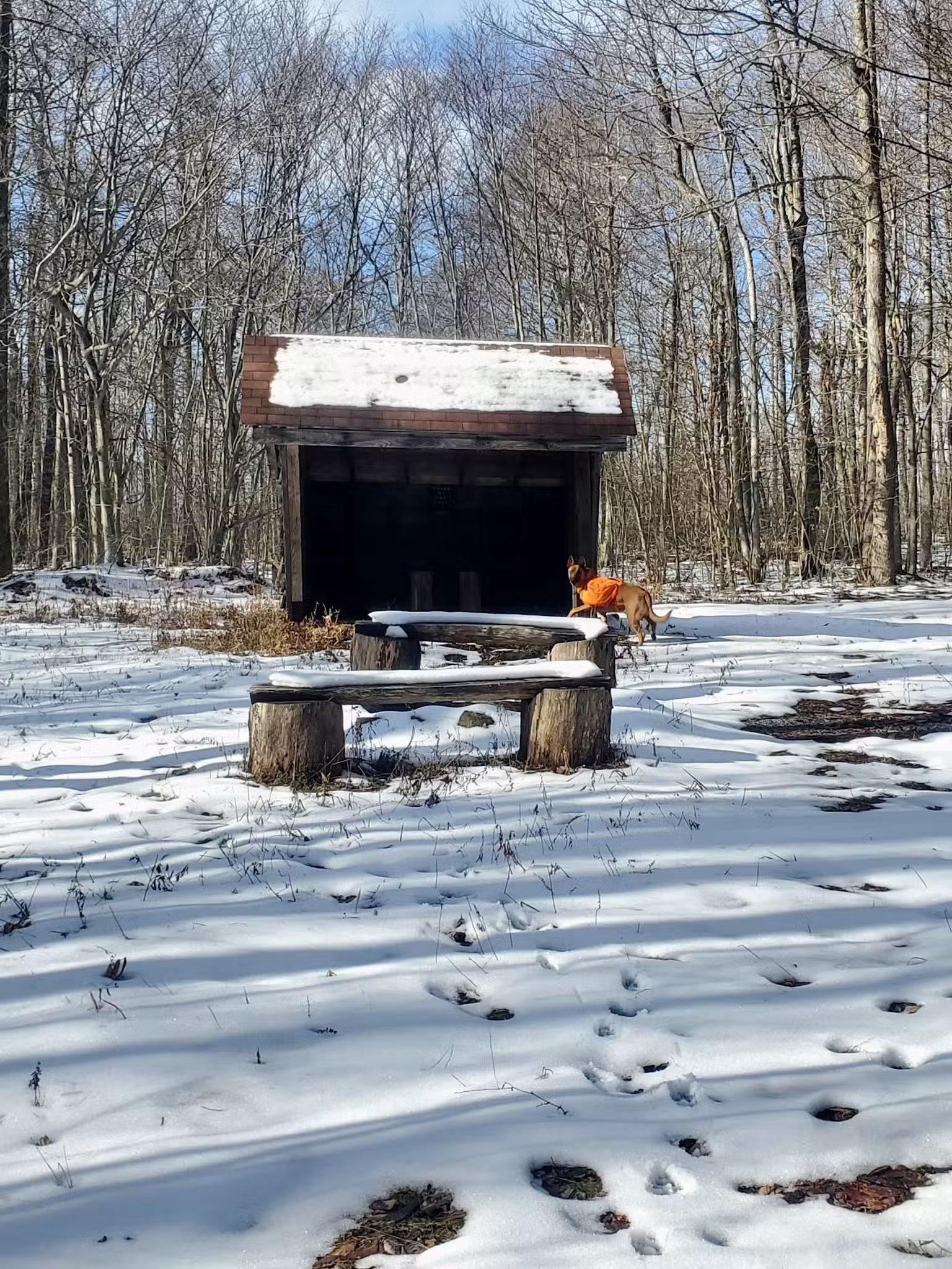 Lost Turkey Trail Parking Area - Windber, PA