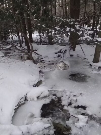 Lost Turkey Trail Parking Area - Windber, PA