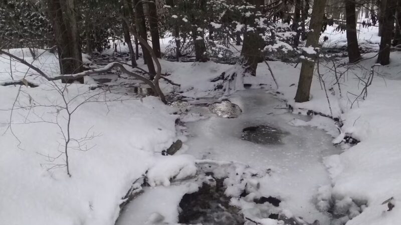 Lost Turkey Trail Parking Area - Windber, PA