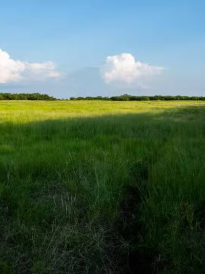 Windthorst City Park - Windthorst, TX