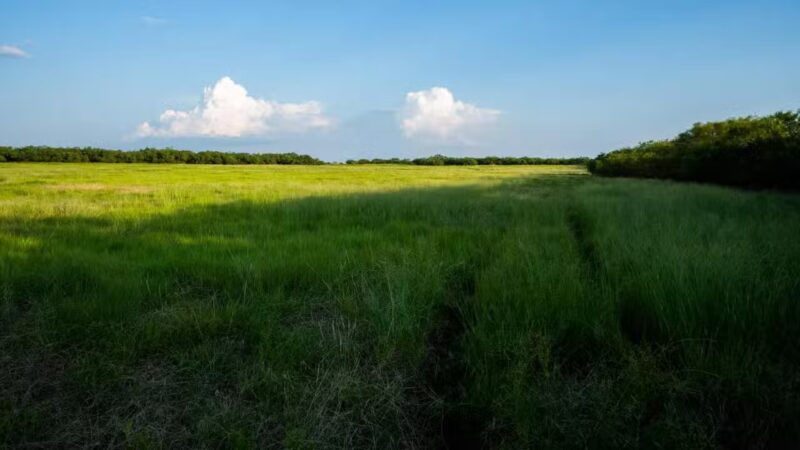 Windthorst City Park - Windthorst, TX