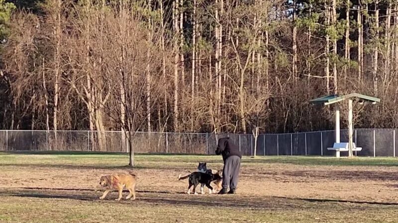 Prairie Island Dog Park - Winona, MN