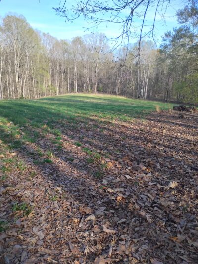 Lovely Valley Loop Hiking Trail - Wirtz, VA