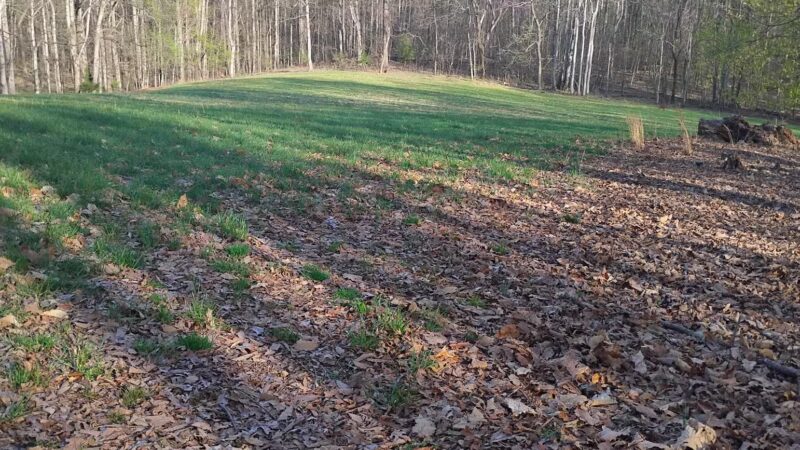 Lovely Valley Loop Hiking Trail - Wirtz, VA