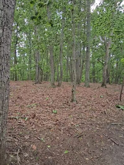 Lovely Valley Loop Hiking Trail - Wirtz, VA