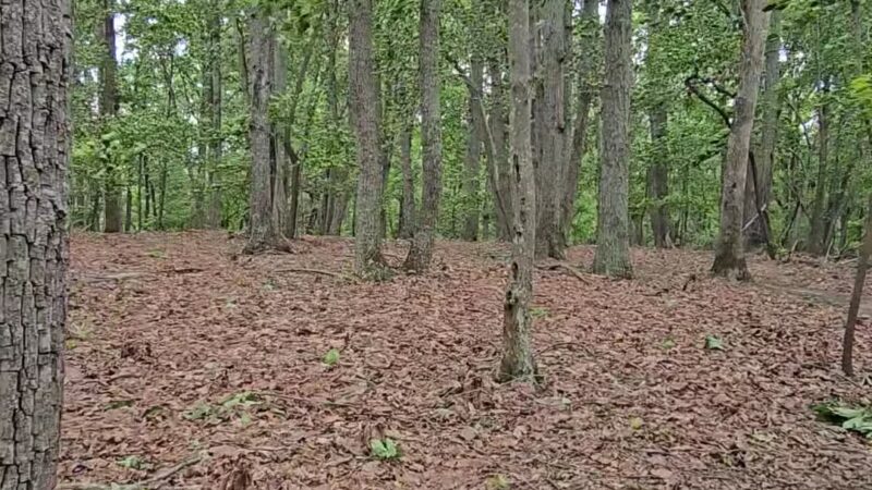 Lovely Valley Loop Hiking Trail - Wirtz, VA