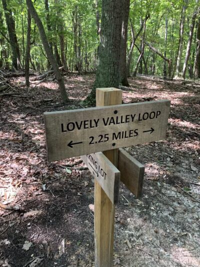 Lovely Valley Loop Hiking Trail - Wirtz, VA