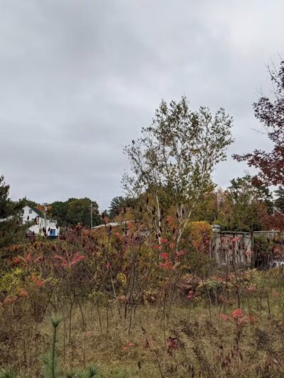 Wolfeboro - Wolfeboro, NH