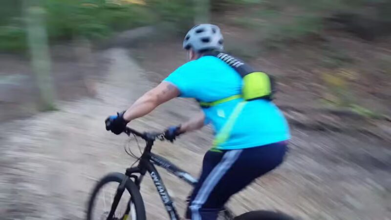 Stillwell Woods Park - Woodbury, NY