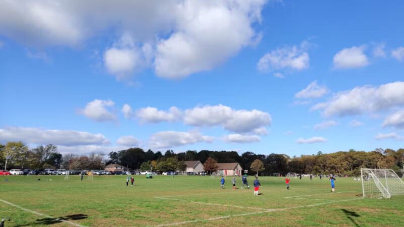 Stillwell Woods Park - Woodbury, NY