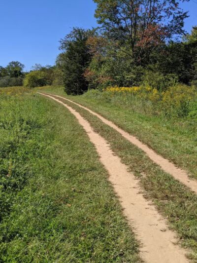 Stillwell Woods Park - Woodbury, NY