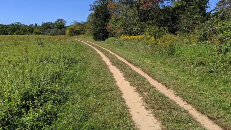 Stillwell Woods Park - Woodbury, NY