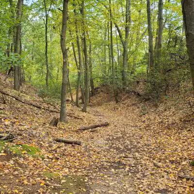 Trail View State Park - Woodbury, NY