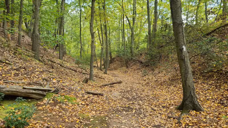 Trail View State Park - Woodbury, NY