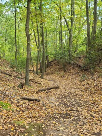 Trail View State Park - Woodbury, NY