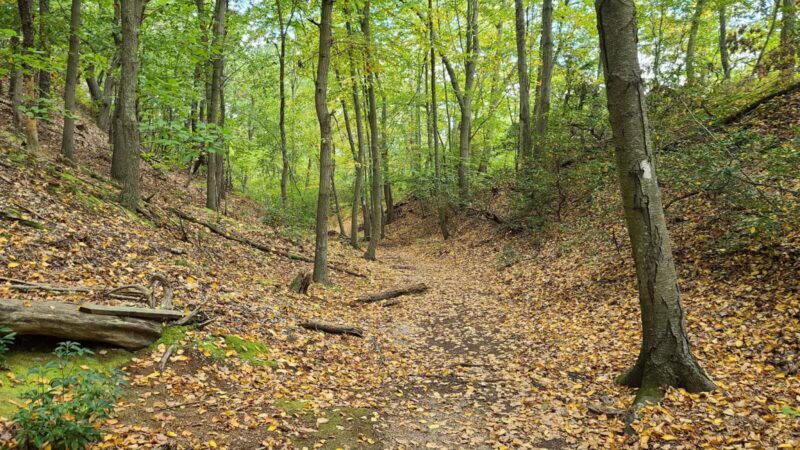 Trail View State Park - Woodbury, NY
