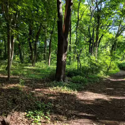 Trail View State Park - Woodbury, NY