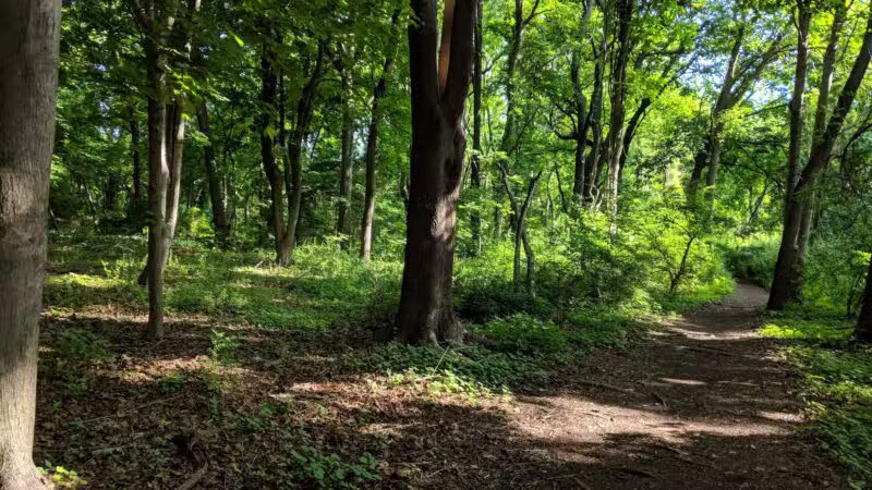 Trail View State Park - Woodbury, NY