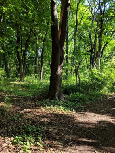 Trail View State Park - Woodbury, NY