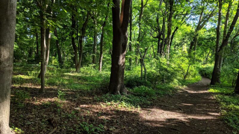 Trail View State Park - Woodbury, NY